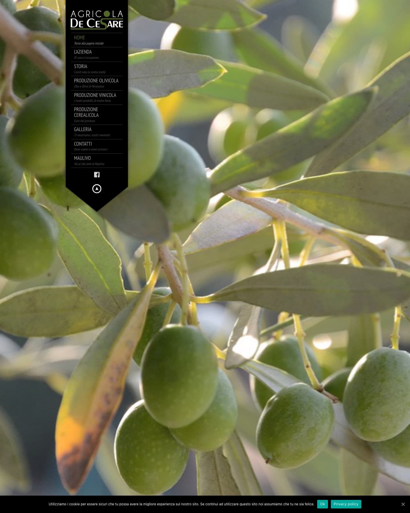 Anteprima del progetto Agricola De Cesare